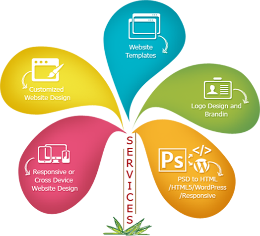 CXM CONSULTING LLC , Website Design & Hosting Company